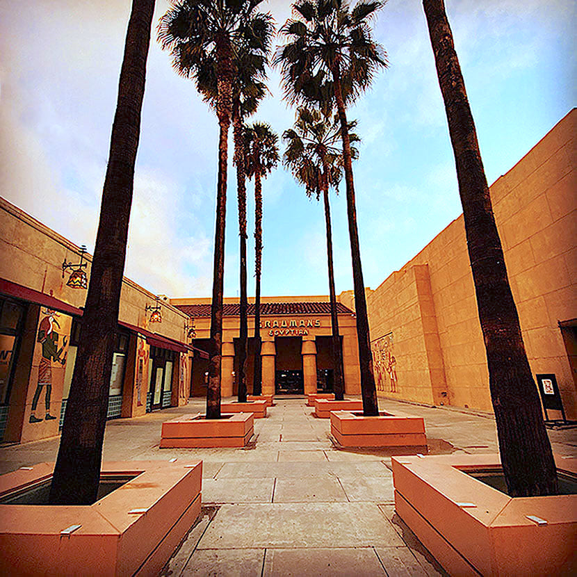 srcset=http://en-gd52mu8.edirectorycloud.com/custom/domain_1/image_files/uploads/2020/03/egyptian-005997.jpg width=830