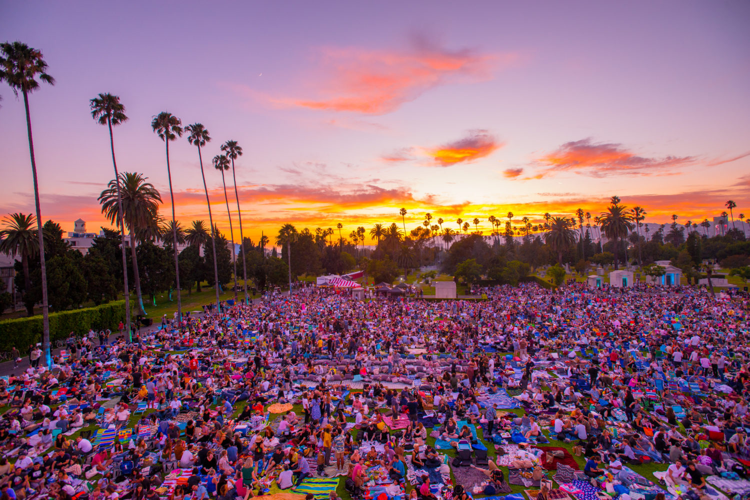 srcset=http://en-gd52mu8.edirectorycloud.com/custom/domain_1/image_files/uploads/2022/06/Cinespia-1.jpg width=1500