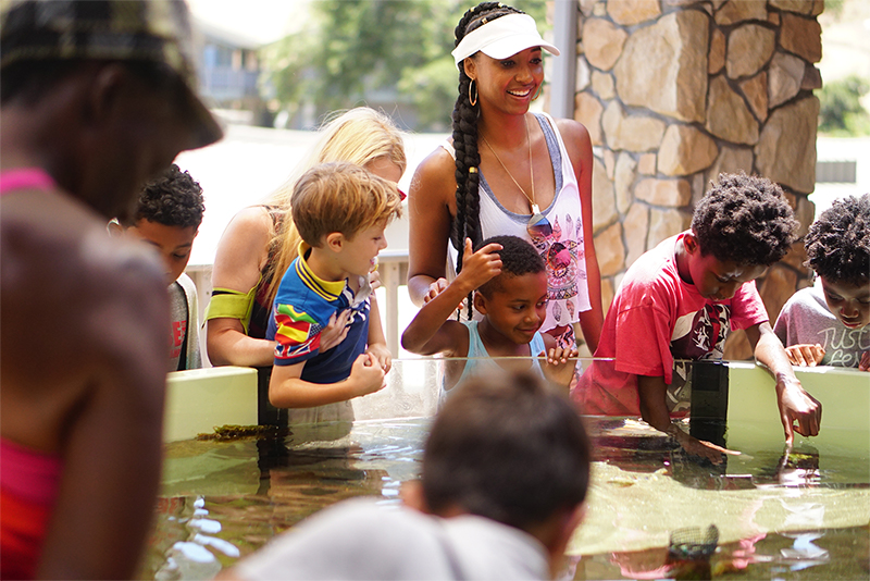 srcset=http://en-gd52mu8.edirectorycloud.com/custom/domain_1/image_files/uploads/2022/08/single-moms-planet-boy-scouts-camping-aquarium-size.jpg width=800