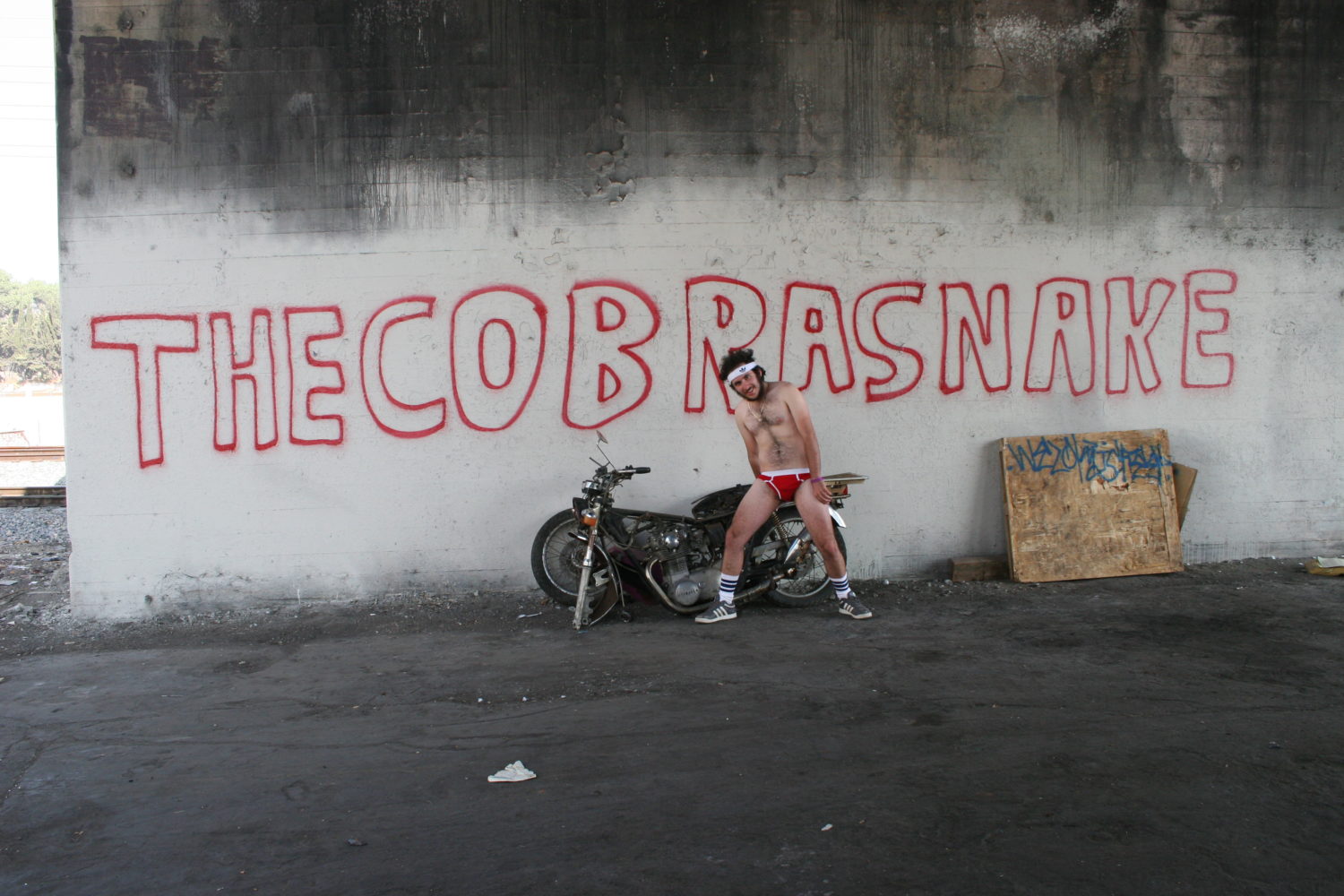 Cobrasnake