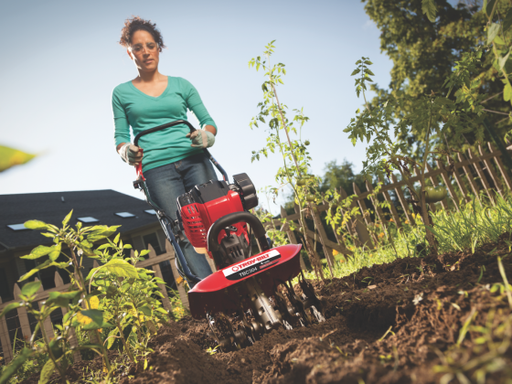 How to Build a Container Victory Garden
