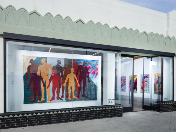 The World In Pieces: Christopher Myers at Fort Gansevoort