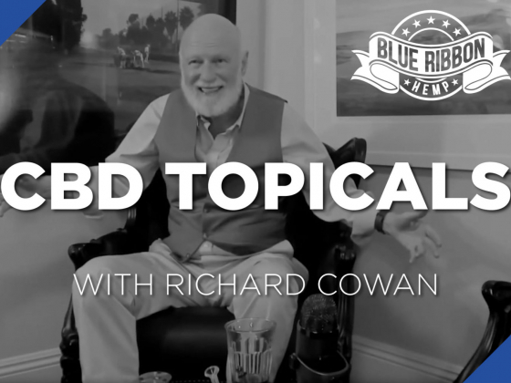 CBD Topicals  Salves, Creams &amp;amp; Balms