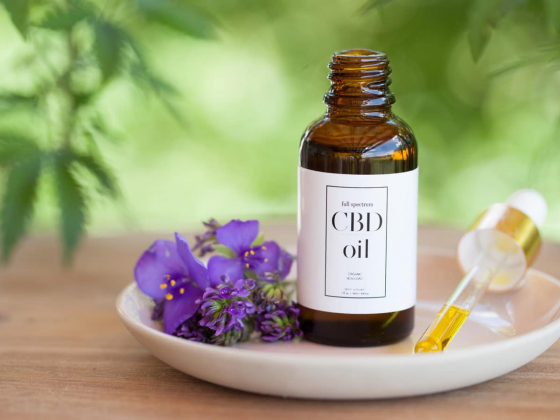 Why Is the CBD Market Exploding?