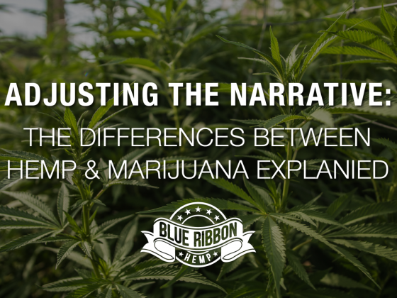 Adjusting the Narrative: The Differences Between Hemp & Marijuana Explained