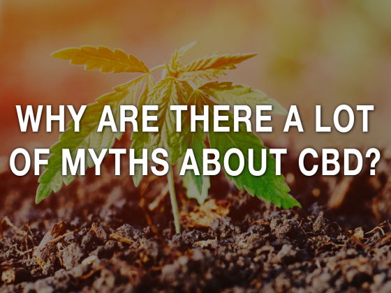 Why Are There A Lot Of Myths About CBD?