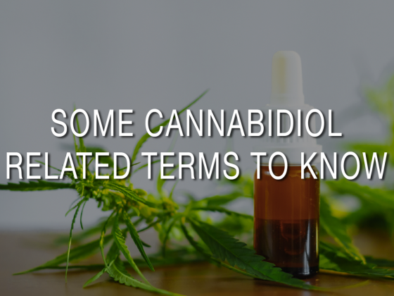 Some Cannabidiol Related Terms You Should Know