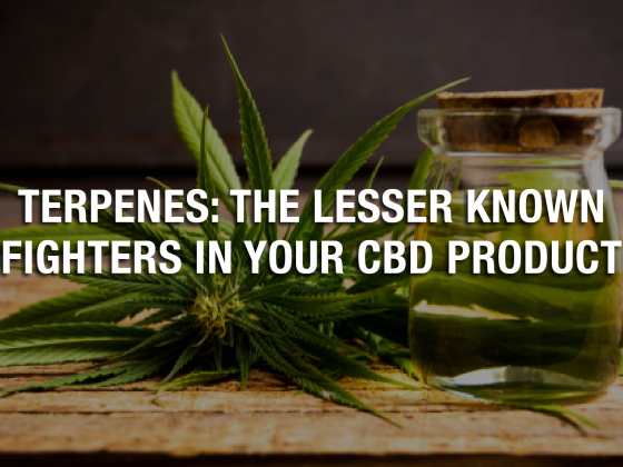 Terpenes: The Lesser Known Fighters In Your CBD Product