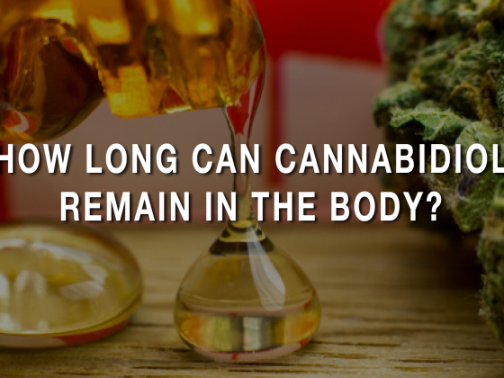 How Long Can Cannabidiol Remain In The Body?