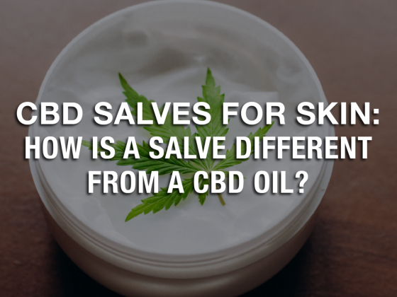 CBD Salves For Skin: How Is a Salve Different From a CBD Oil?