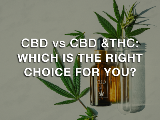 CBD vs CBD & THC: Which Is The Right Choice for You?