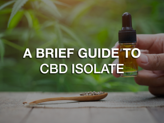 A Brief Guide To CBD Isolate