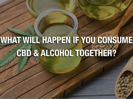 What Will Happen If You Consume CBD & Alcohol Together?