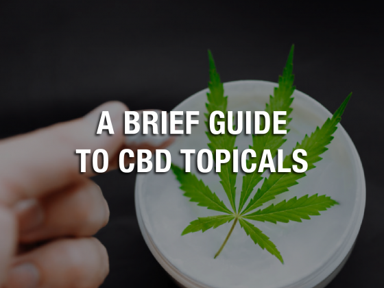A Brief Guide to CBD Topicals