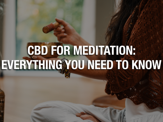 CBD For Meditation  Everything You Need To Know
