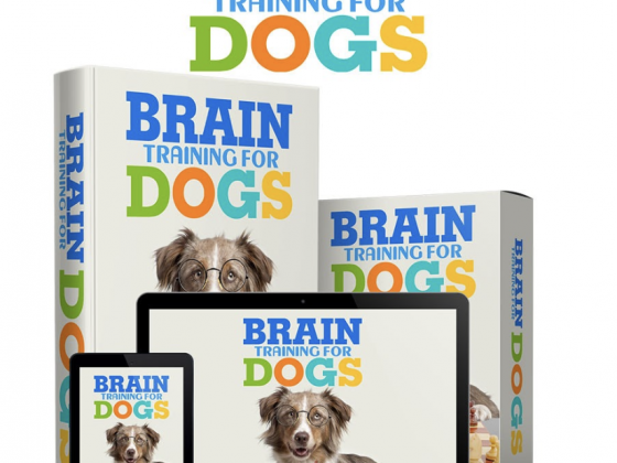 Brain Training For Dogs Reviews - Is Adrienne's Training Program Worth Buying? PDF Guide