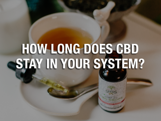 How Long Does CBD Stay In Your System?
