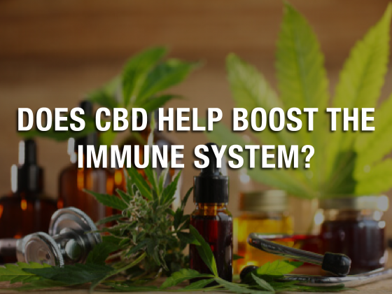 Does CBD Help Boost the Immune System?