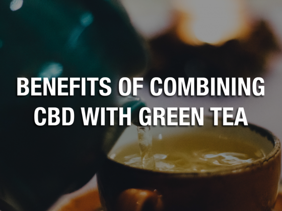 Benefits of Combining CBD with Green Tea