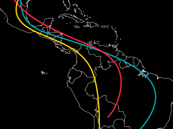 Birds Without Borders: The Audubon Society’s <I>Mapping Migraciones</i>