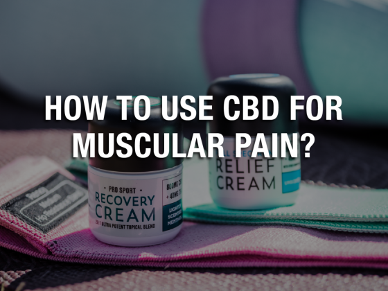 How To Use CBD For Muscular Pain?