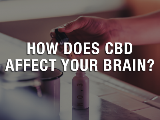 How Does CBD Affect Your Brain?