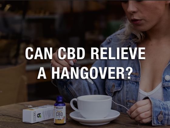 Can CBD Relieve a Hangover?