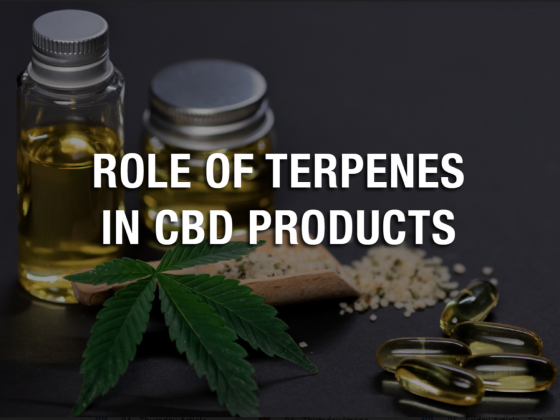Role of Terpenes in CBD Products