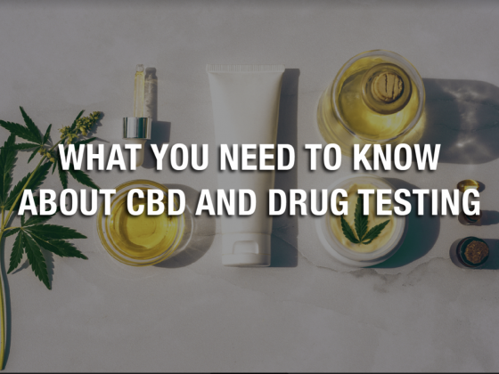 What You Need To Know About CBD And Drug Testing