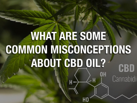 What Are Some Common Misconceptions About CBD Oil?