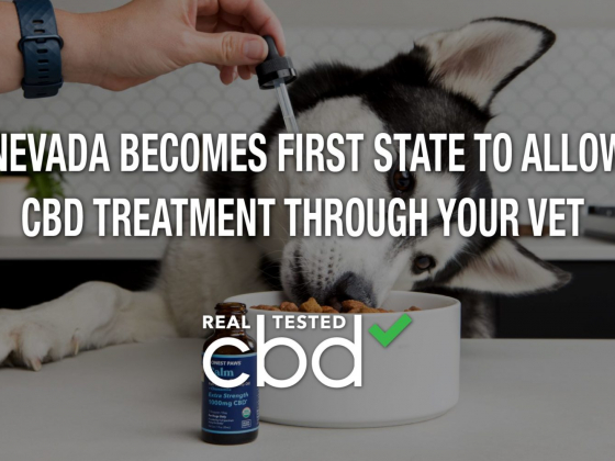 Nevada Becomes First State to Allow CBD Treatment Through Your Vet
