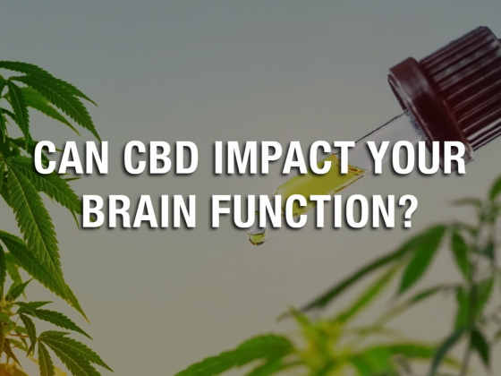 Can CBD Impact Your Brain Function?