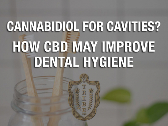 Salty, Savory, And CBD  Tribe CBDs Take On The Dirty Martiniﾠ