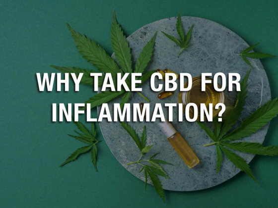 Why Take CBD for Inflammation?
