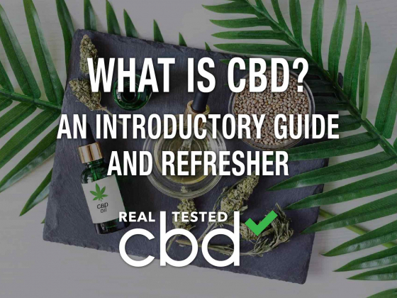 An Introductory Guide and Refresher: What Is CBD?
