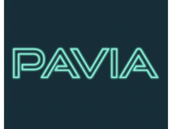 Everything You Need to Know About Pavia.io Metaverse On Cardano Blockchain Network