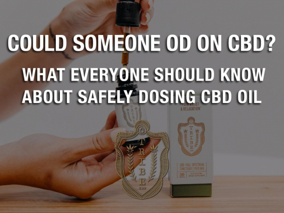 Oatly Meets Tribe CBD  Taste Tribes DIY CBD Oat Milk Recipeﾠ