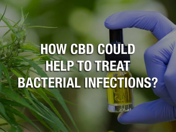 How CBD Could Help To Treat Bacterial Infections?