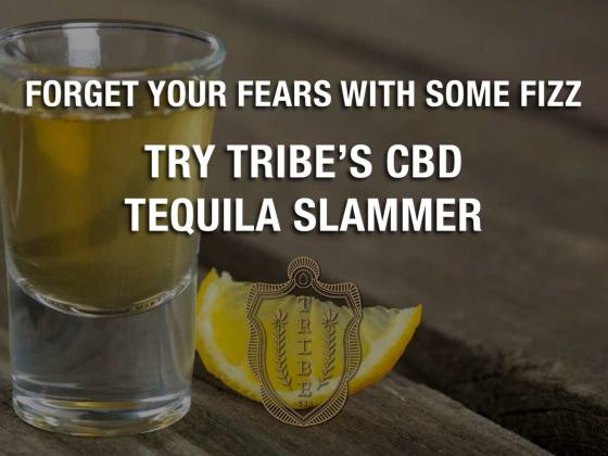 Forget Your Fears With Some Fizz  Try Tribes CBD Tequila Slammer