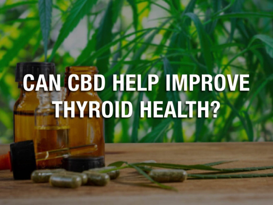 Can CBD Help Improve Thyroid Health?