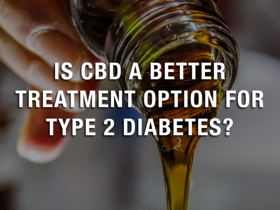 Is CBD A Better Treatment Option for Type 2 Diabetes?