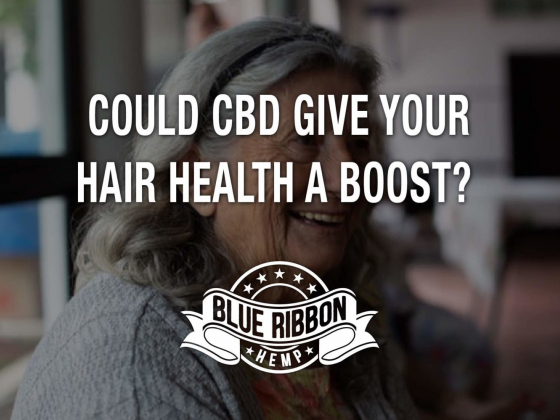 CBD For Your Skeleton  The Surprising Science Of CBD For Bone Strength