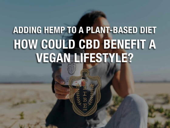 Adding Hemp To A Plant-Based Diet  How Could CBD Benefit A Vegan Lifestyle?ﾠ