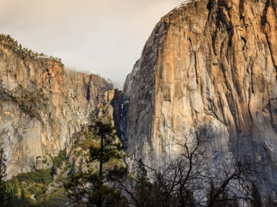 Microclimates Set the Stage for Spring Flora & Fauna in Yosemite Mariposa County