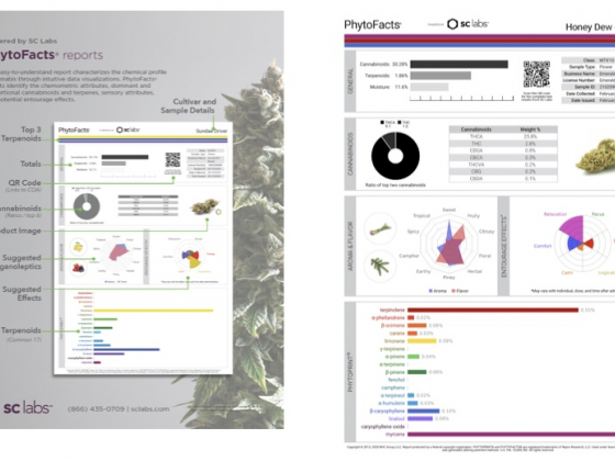 A Cannabis Manifesto: Its Time to Retire the Words Indica and Sativa from Cannabis Culture