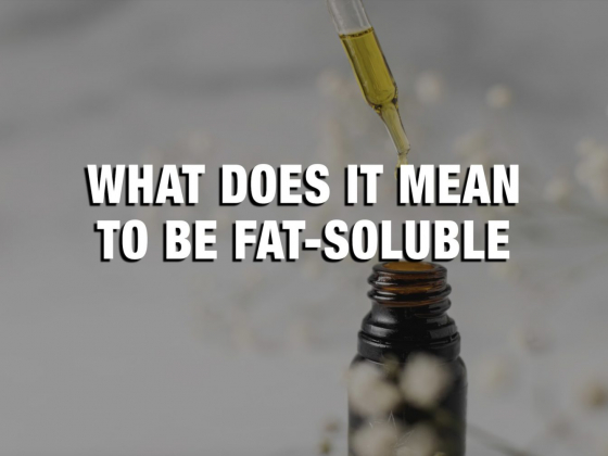 Dissolving The Details On CBDs Solubility  What Does It Mean To Be Fat-Soluble?