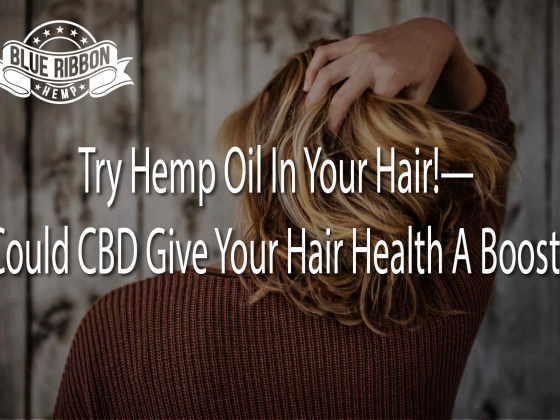 Try Hemp Oil In Your Hair!  Could CBD Give Your Hair Health A Boost?