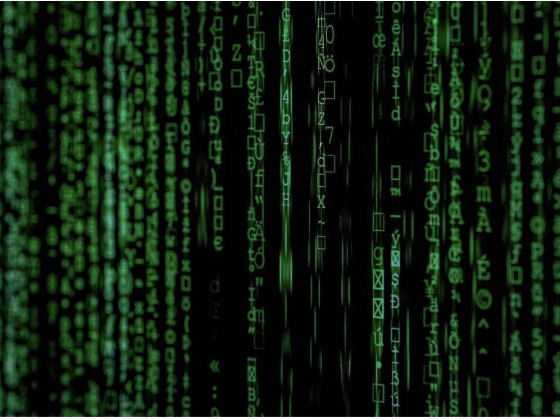 The Real Threat of Data Breaches: How to Respond as A Victim