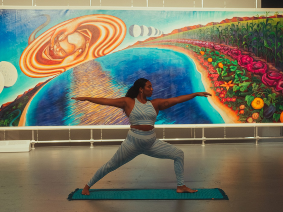 The Art of Feeling Better: Wellness at the Museum