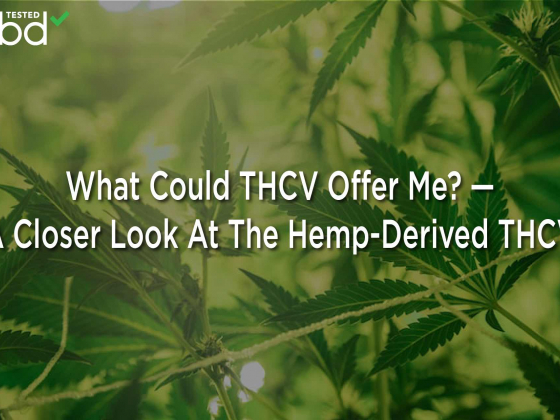 What Could THCV Offer Me? — A Closer Look At The Hemp-Derived THCV